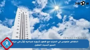 انخفاض ملموس في الحرارة مع ظهور شبورة صباحية تؤثر على حركة السير السبت المقبل